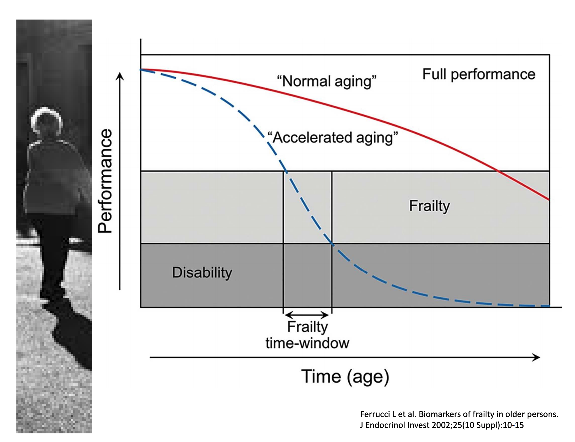 The effect of Frailty on aging