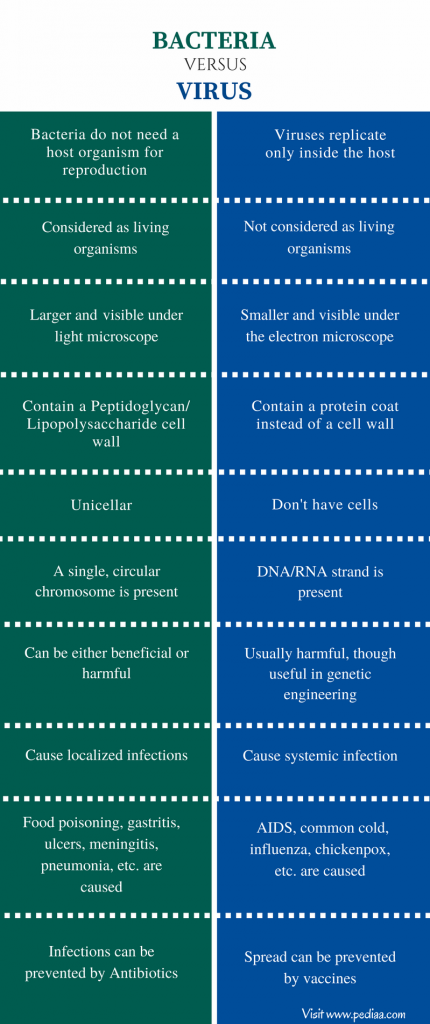 Bacteria vs Viruses